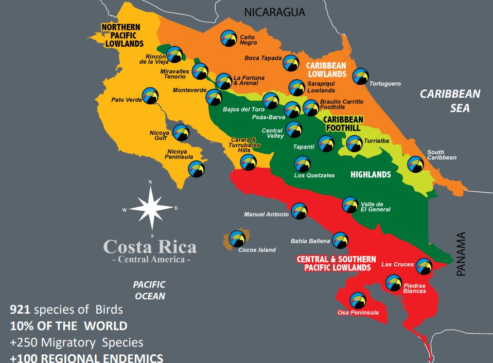 Mercadeo del Aviturismo en Costa Rica